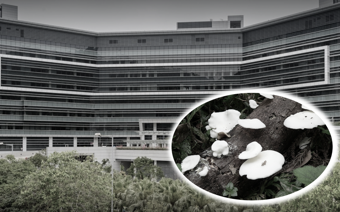 Man in 50s suffers from numb lips, blurred vision and nausea after