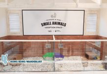 Small animals adoption space in-store opens at Whiskers N Paws at Ap Lei Chau in collaboration with SPCA HK