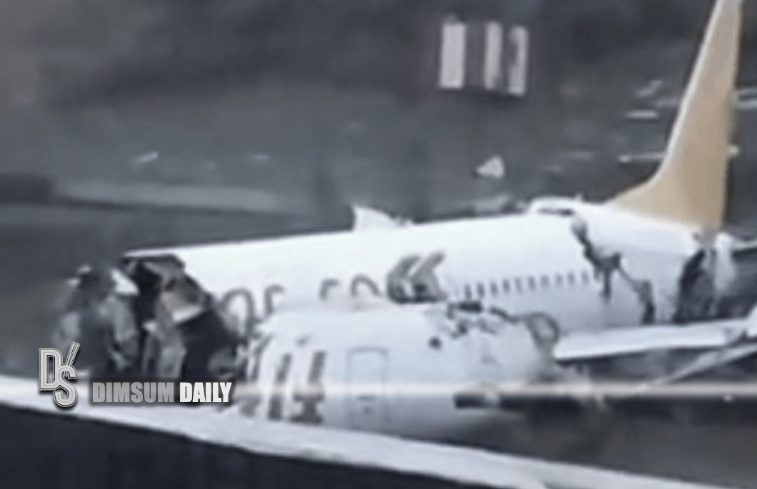 pegasus airlines tel