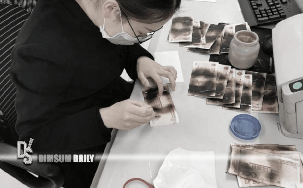 Woman puts around 3,000 renminbi in her microwave to kill virus Dimsum Daily