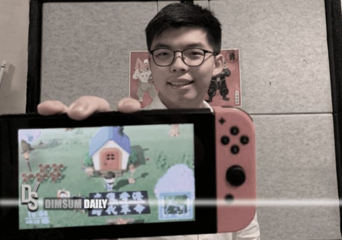 Nintendo animal crossing