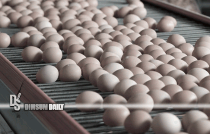 Import of poultry meat and products from areas in Japan and Netherlands suspended due to H5N8 ...