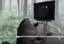 Elon Musk’s Neuralink shows monkey with brain-chip playing videogame by thinking