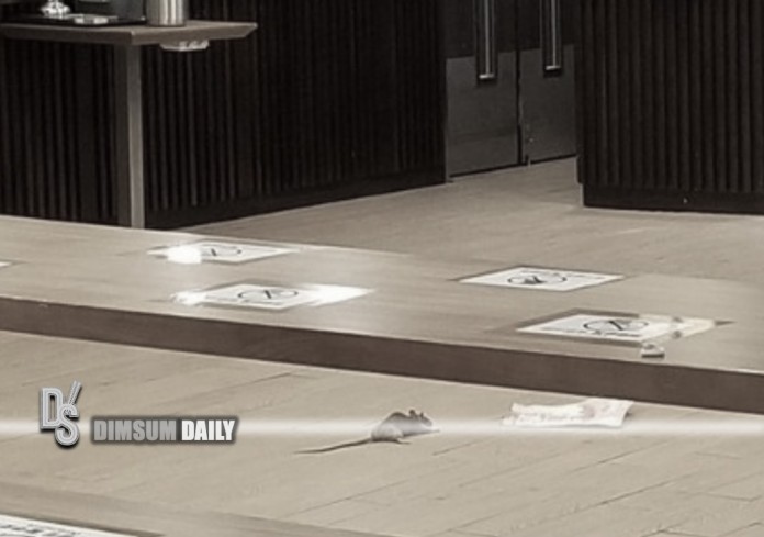 City One Shatin