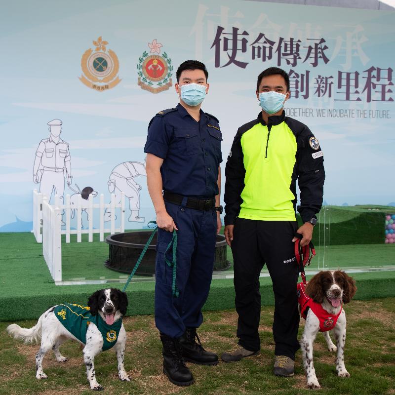 First successful cooperation between Hong Kong Customs and FSD in workingdog breeding Dimsum