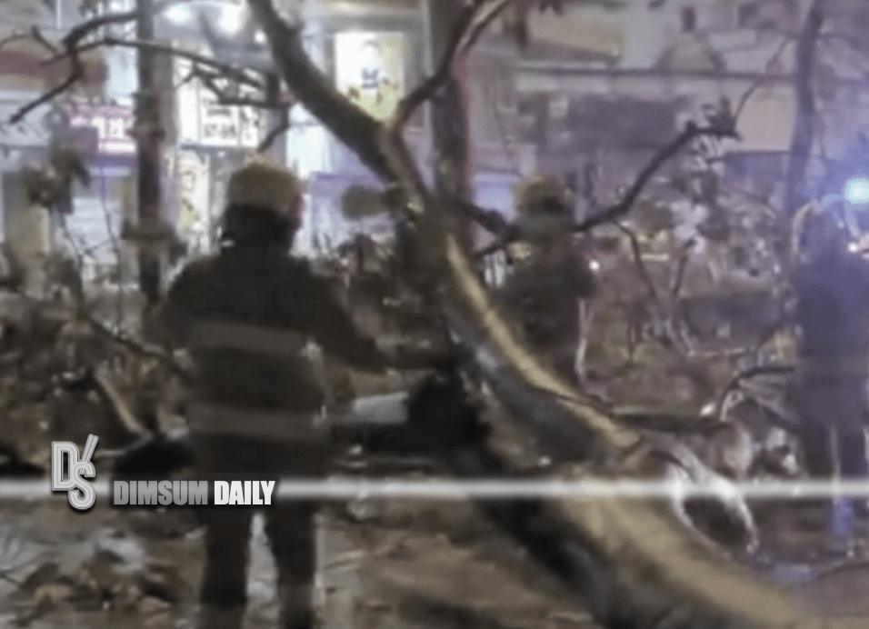 Giant 8m tree collapses on Chatham Road South in TST due to heavy storm ...