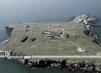 Ukrainian border guards may have survived reported last stand on Snake ...