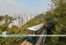 6th generation Peak Tram on track to launch by summer 2022