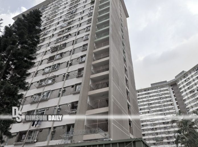 Woman jumps to her death from top of Bean Goose House in Sha Tin