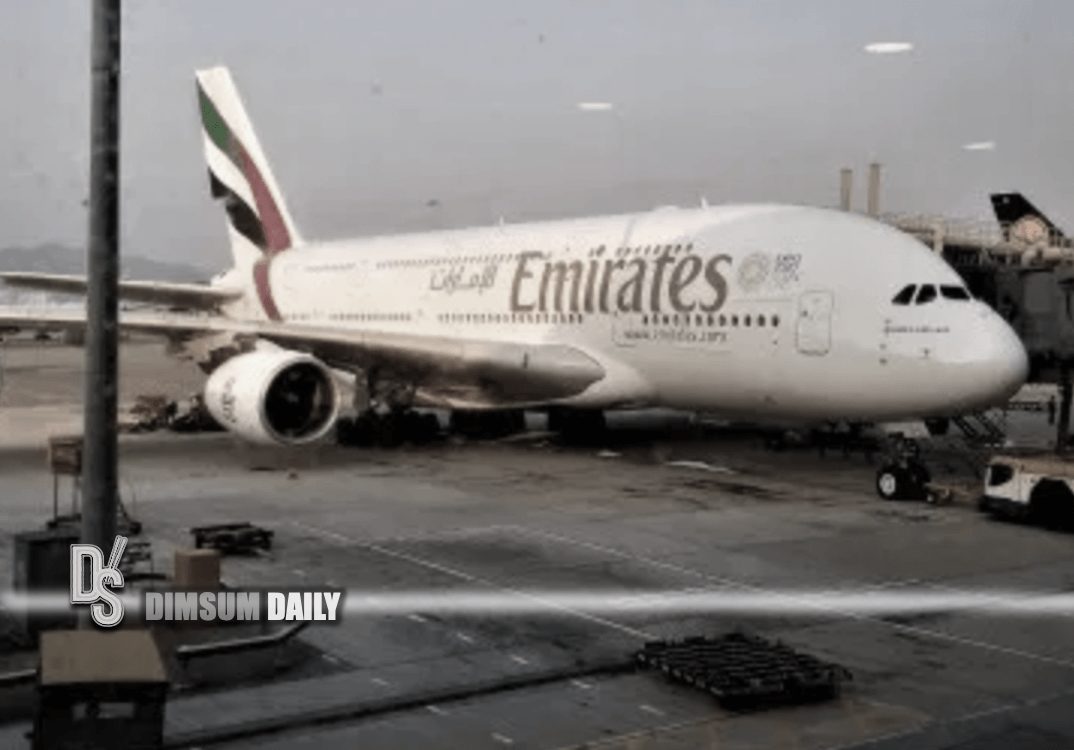 Emirates, Thai Airways and Qatar Airways banned from landing in HK for