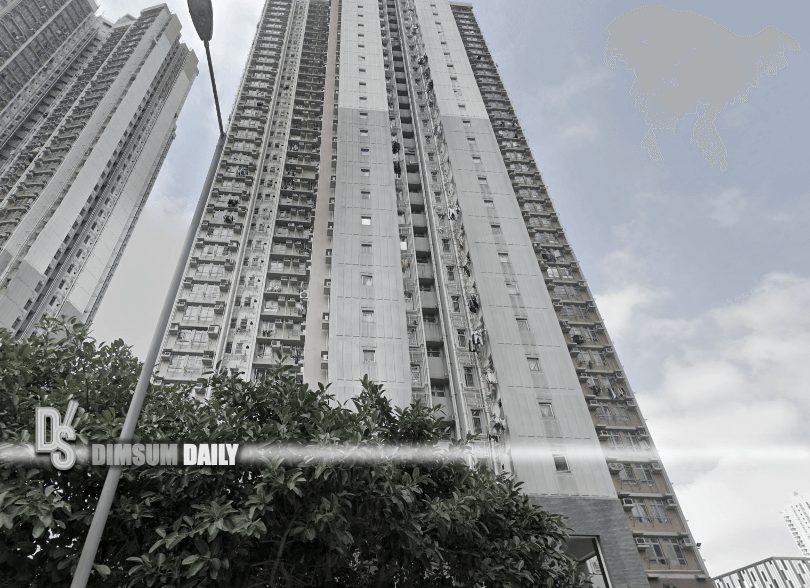 15yearold high school student jumps to his death from top of Lam Fai