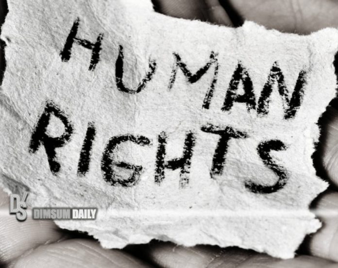 Think tanks release report on China's outlook on human rights - Dimsum ...