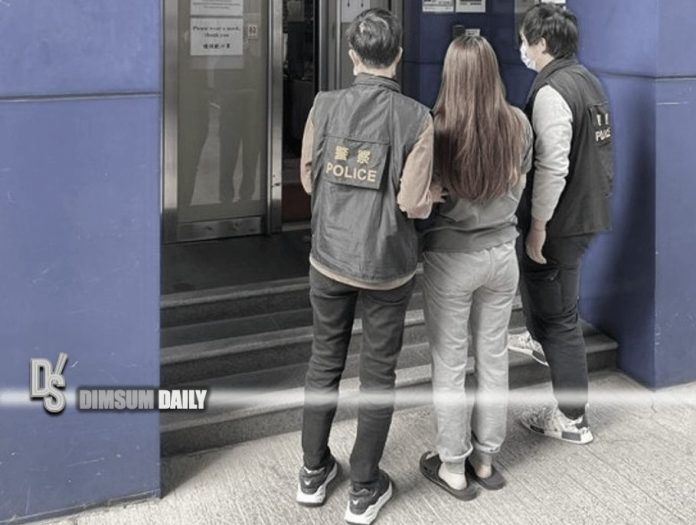 female mastermind arrested