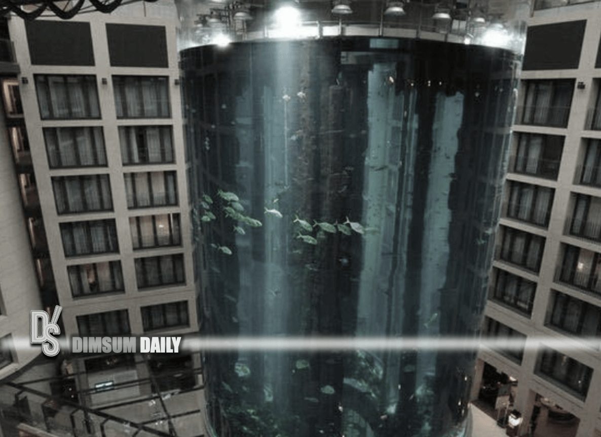 Berlin aquarium explodes, killing 1,500 tropical fish and causing water