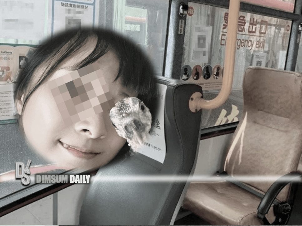 Hong Kong woman assaulted by bus driver in Taiwan after speaking up for ...