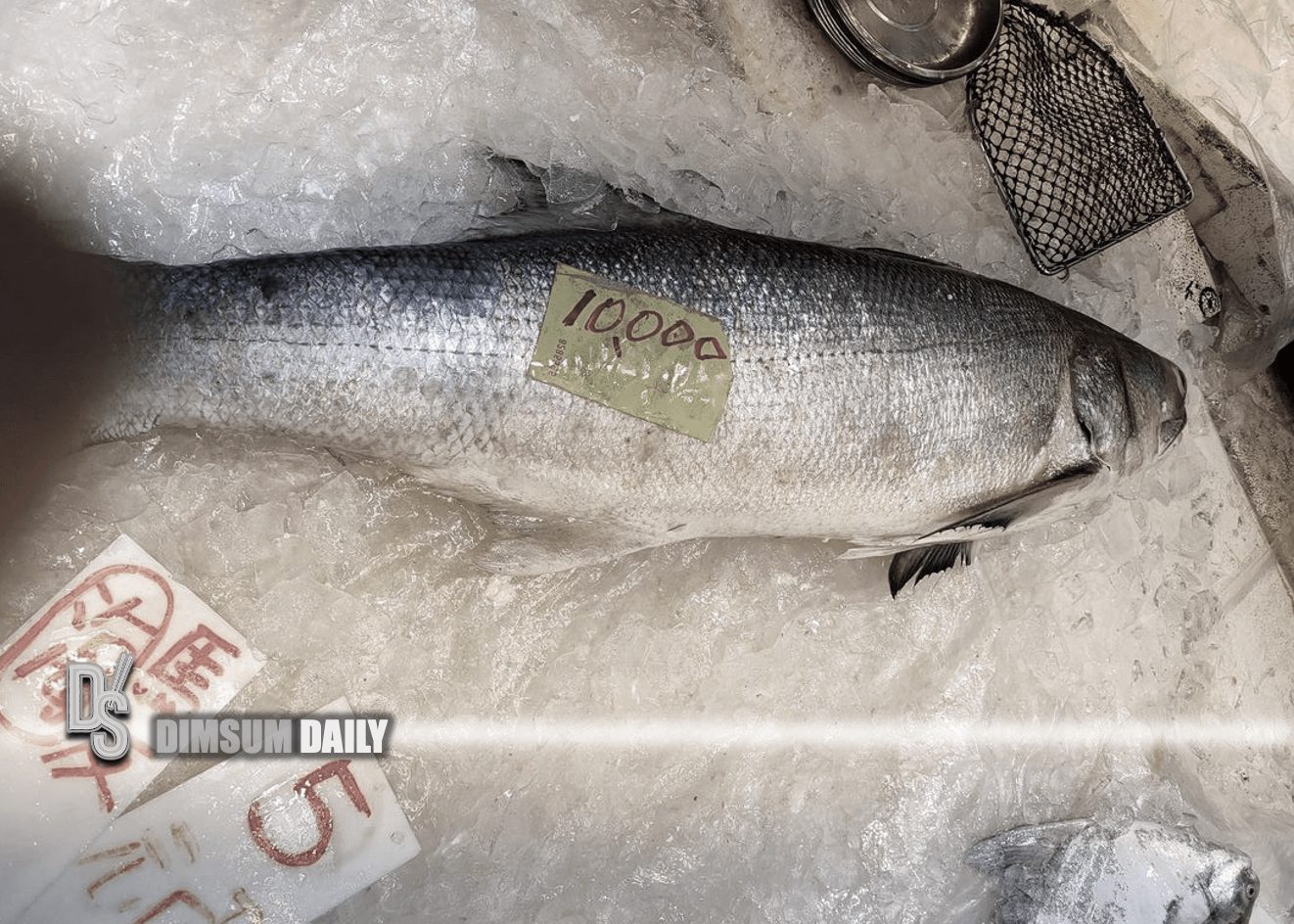 Threadfin fish sold for HK10,000 in Tai Po Market Dimsum Daily