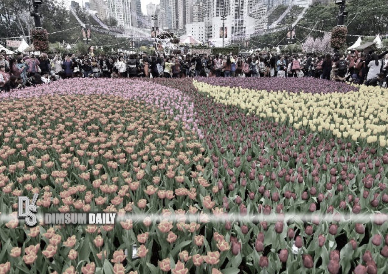 Entries invited for flower show plant exhibit competition at Hong Kong
