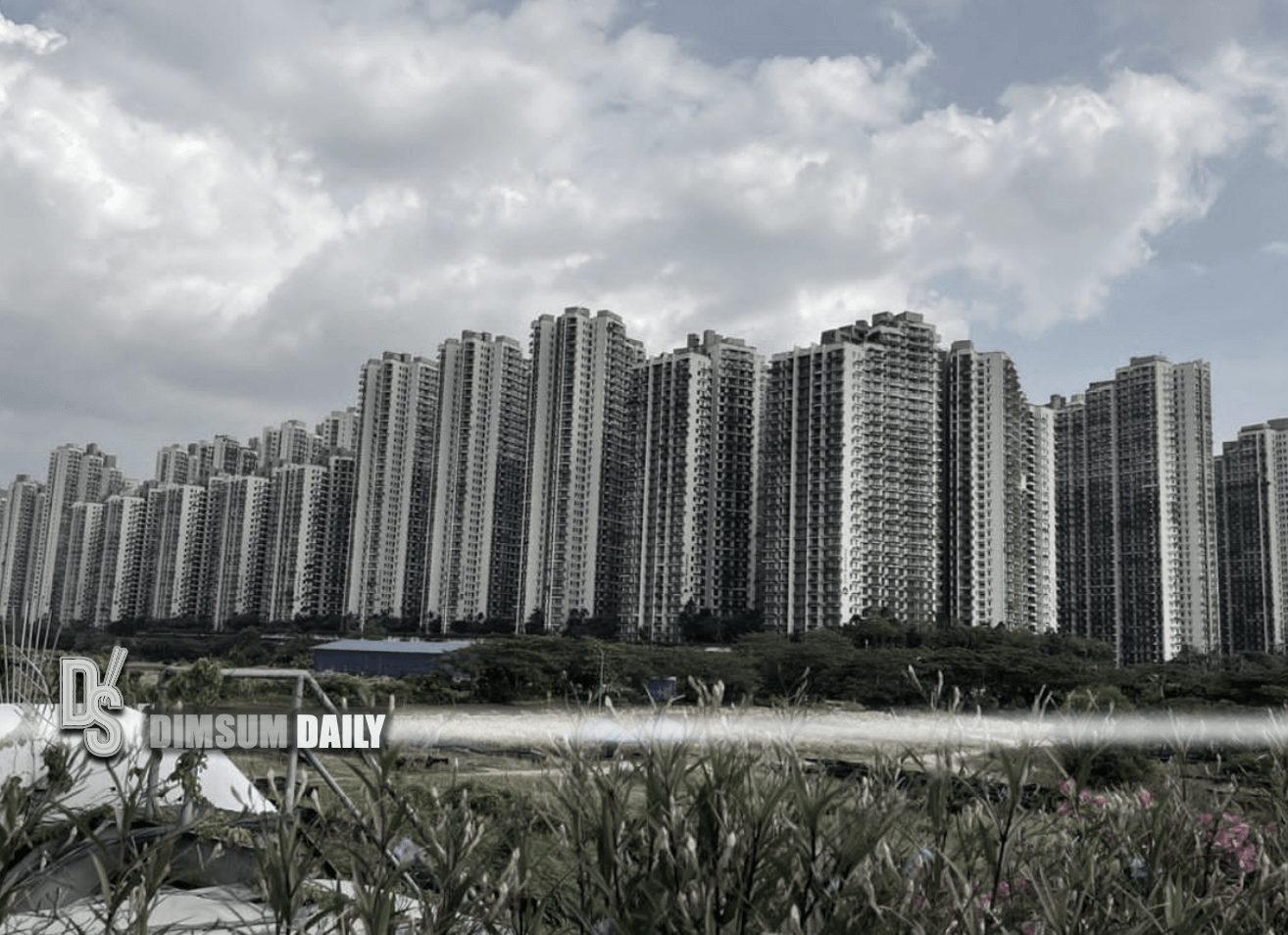 Investor from Beijing duped into buying an apartment in a "mega project
