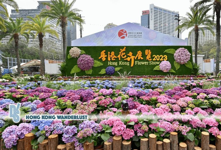Hong Kong Flower Show 2023 to kickstart at Victoria Park from tomorrow