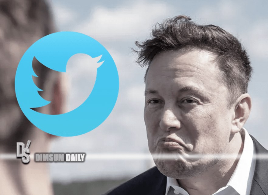 Elon Musk defends pay model for Twitter, warns of bot swarm - Dimsum Daily