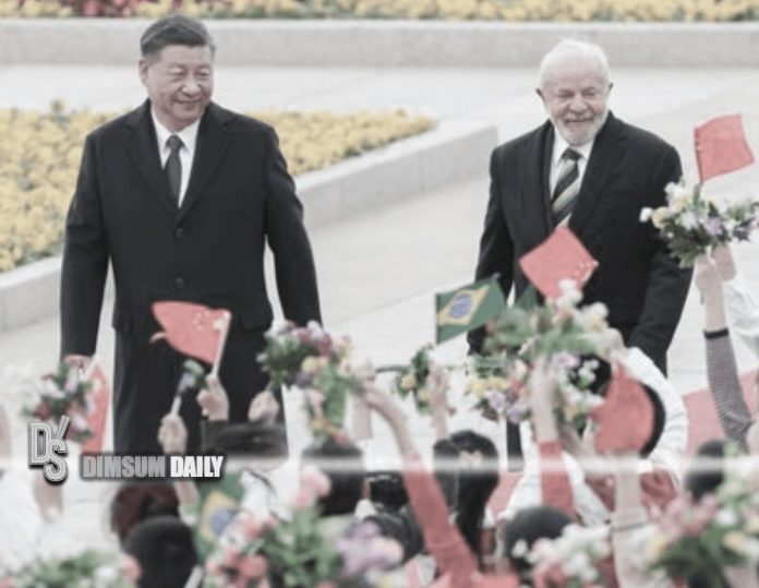 China and Brazil pledge to deepen cooperation, joint statement issued ...
