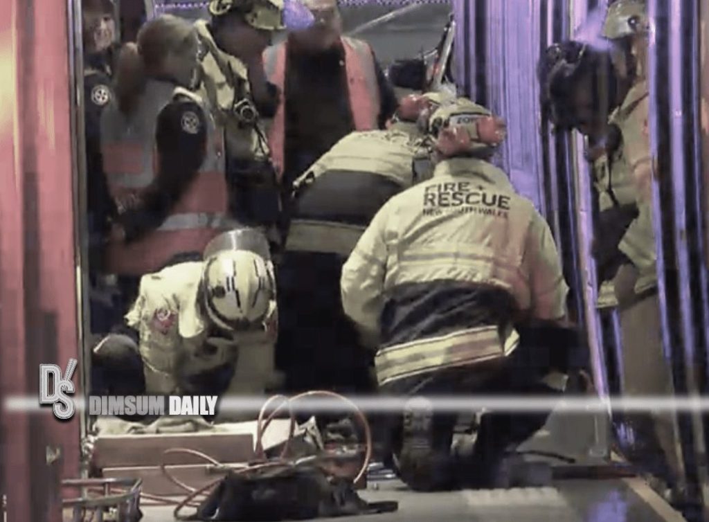 Teenage girl dies in light rail tram accident in Sydney Dimsum Daily