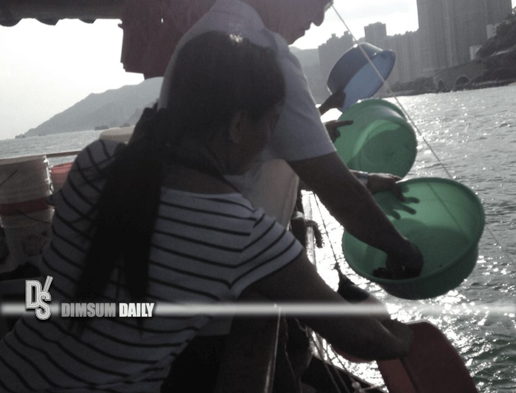 Hong Kong Government plans to amend animal cruelty laws to reduce