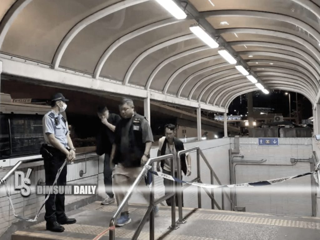 27-year-old Vietnamese man arrested for attacking woman at MTR Choi ...