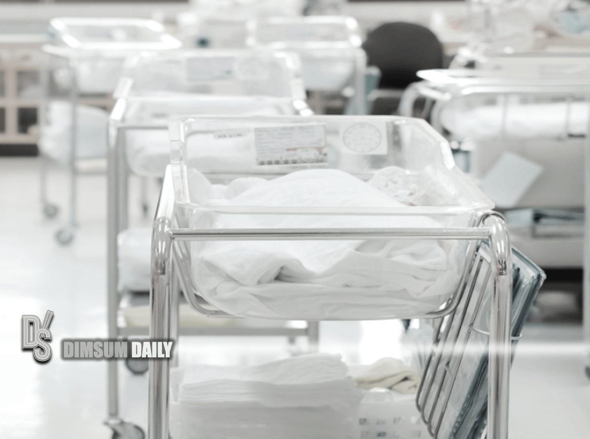 Record number of babies born in Australia in 2021, government data shows Dimsum Daily