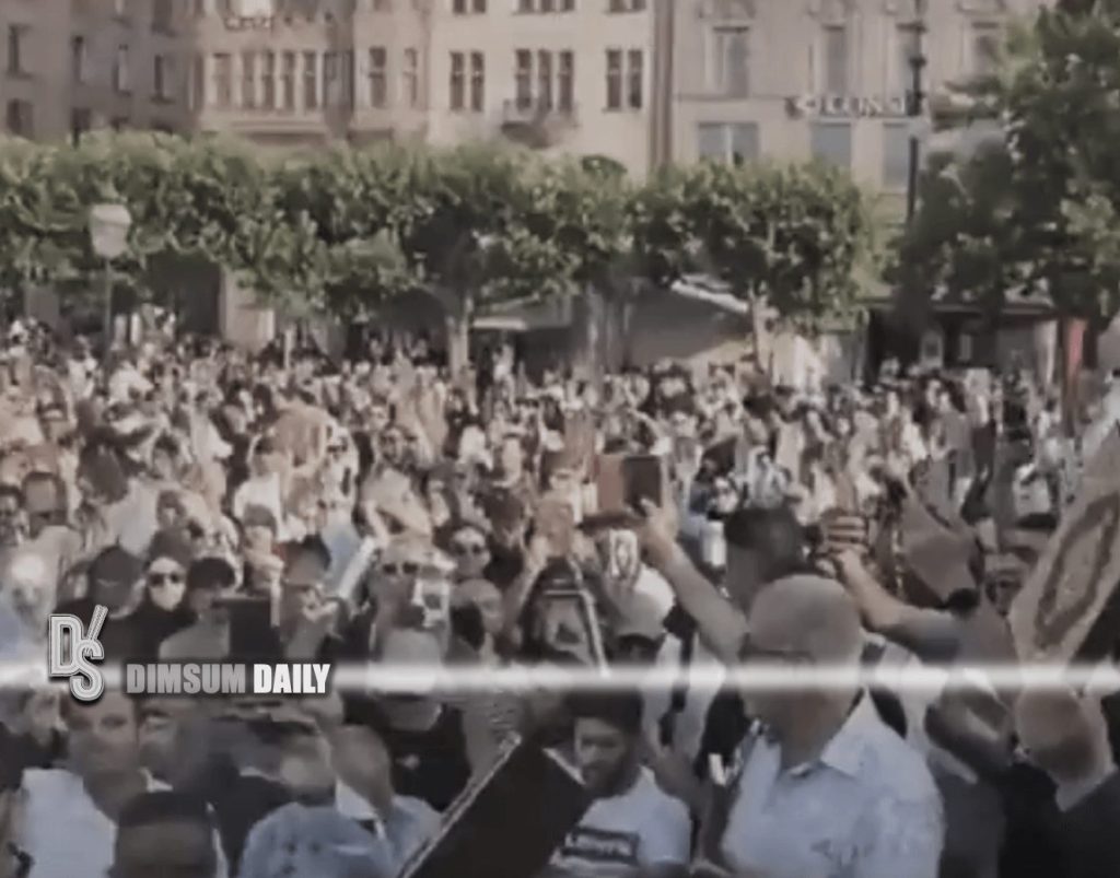 Muslims In Sweden Sweden and Denmark address muslim anger over Quran burnings - Dimsum Daily