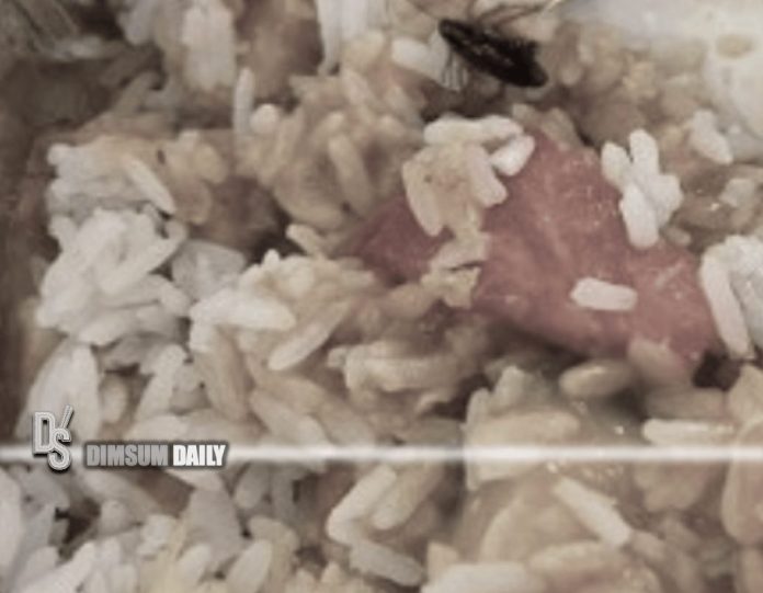Cockroach found hiding in takeaway seafood fried rice in Tseung Kwan O ...