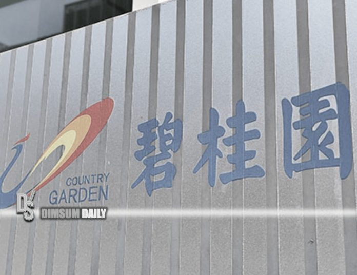 China's largest private property developer, Country Garden, receives ...