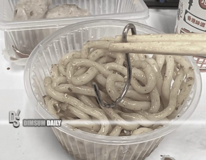 Hong Kong woman finds iron hook in udon noodles purchased at