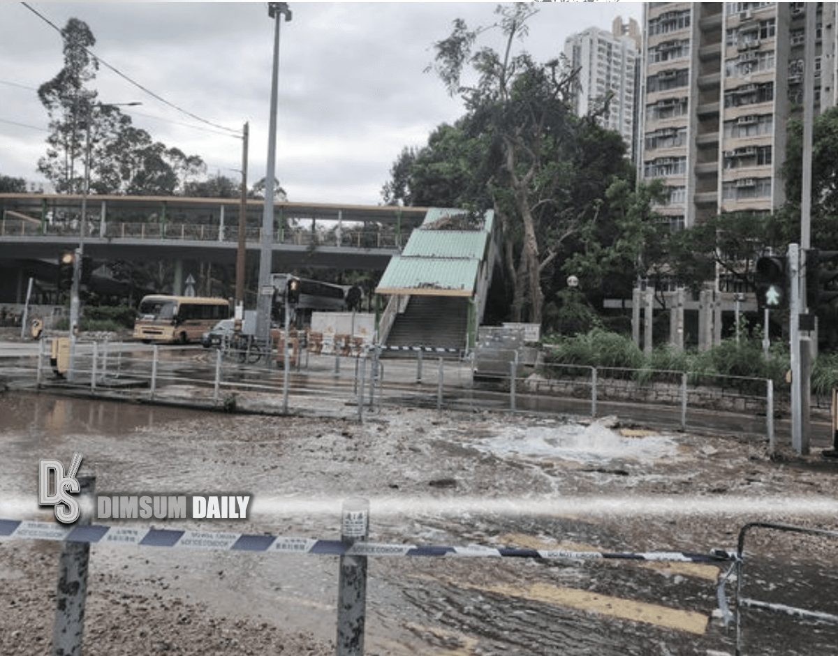 Burst water pipe causes flooding on Tin King Road in Tuen Mun Dimsum
