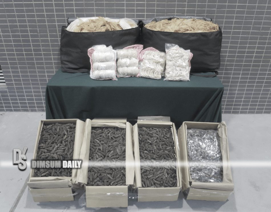 Hong Kong Customs thwarts suspected smuggling operation at Shenzhen Bay