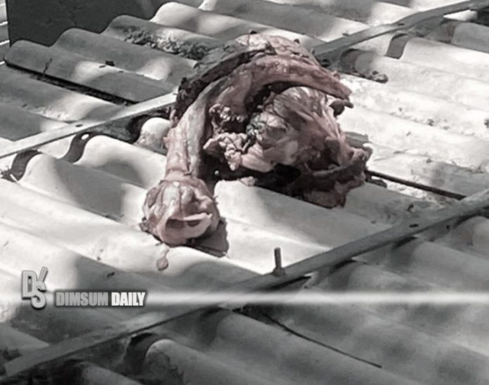 Mysterious meat found on top of bus stop in Tsz Wan Shan raises