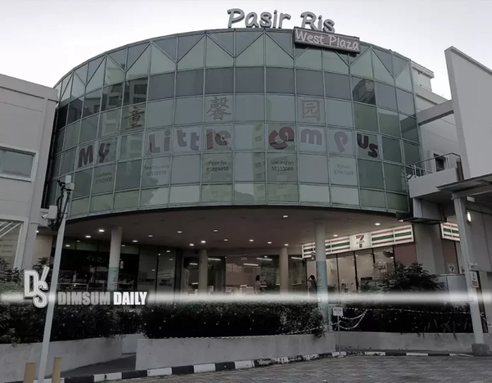 Multiple injured in slashing incident at Pasir Ris West Plaza in ...