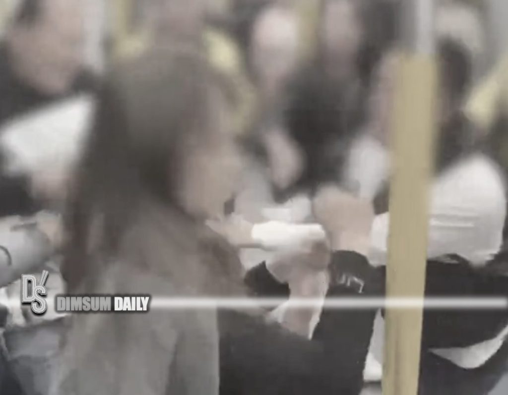 Two arrested following public brawl on MTR train at MTR Lo Wu Station ...