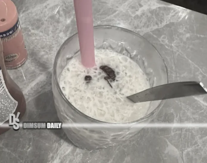 Rose Kitchen restaurant in Wan Chai under fire after giant cockroach