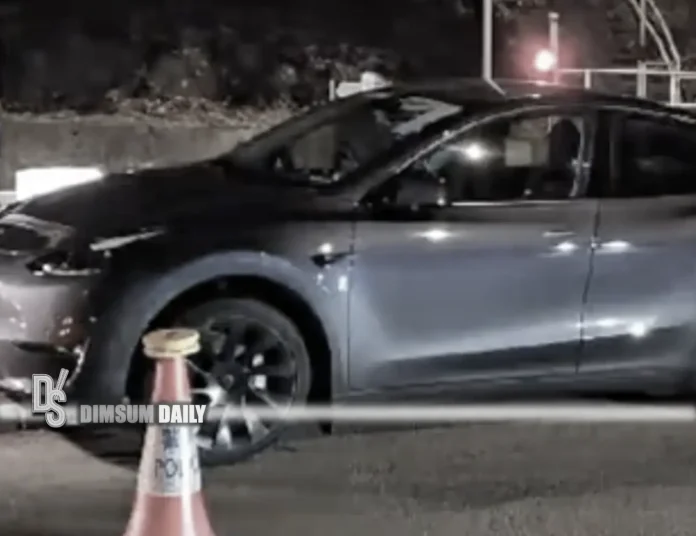Intoxicated Tesla driver detained after crash on Ap Lei Chau Bridge ...