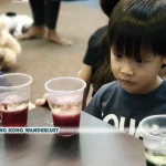 Newtonshow Summer Camps in Hong Kong offer science, fun, and care from 27th May to 30th August