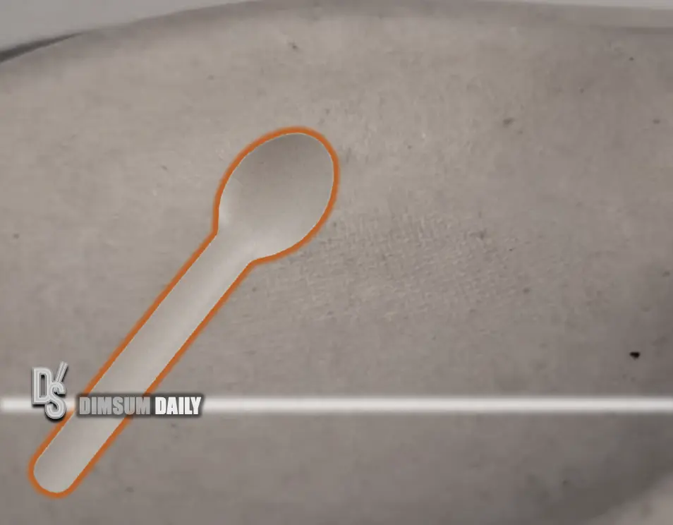 Insects found on biodegradable spoons spark hygiene concerns among Hong ...