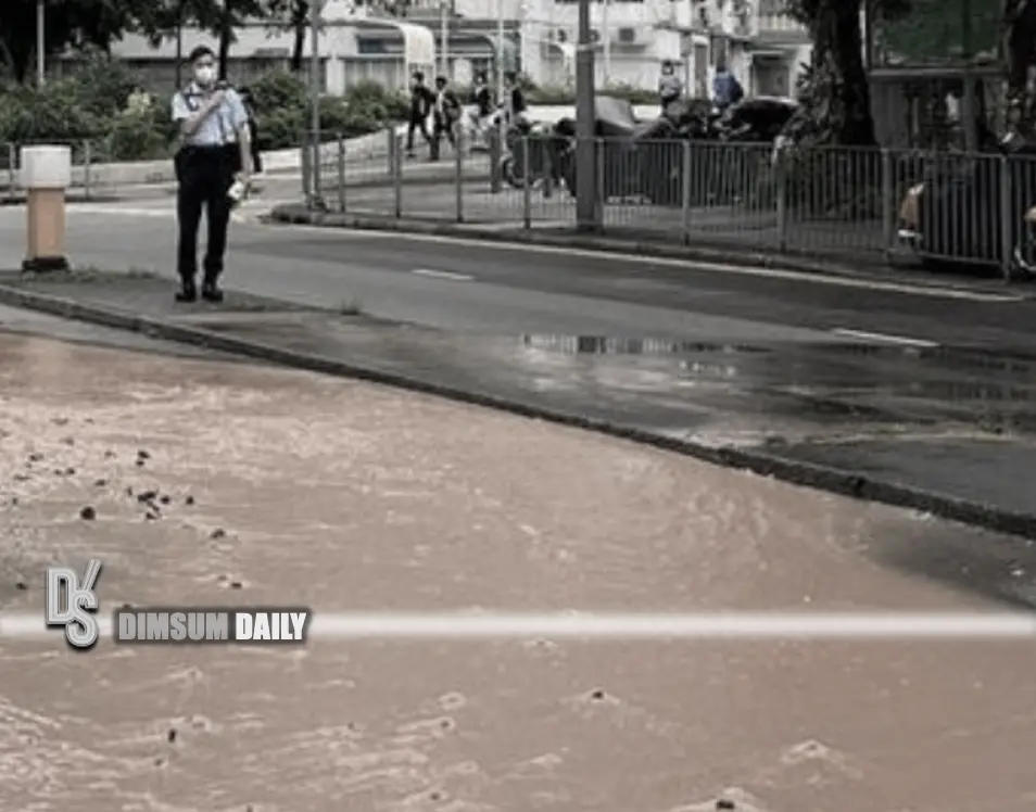 Traffic disruption as Plover Cove Road in Tai Po encounters muddy