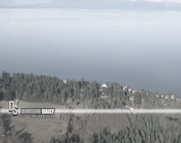Last tsunami on vancouver island