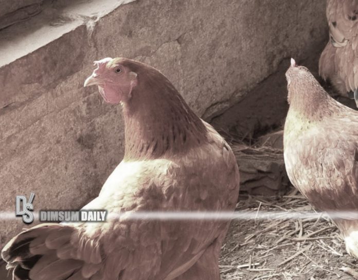 Avian influenza outbreak detected in Hokkaido poultry farm - Dimsum Daily