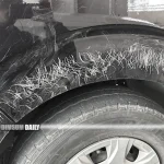 Dog found responsible for scratches on van in Tin Heng Estate parking incident