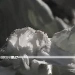 Chinese brothers arrested for stealing over 3,200 cabbages in Japan