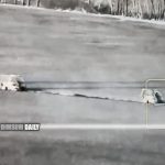 Ukraine launches counter-attack in Kursk region, claims Russian forces on defensive