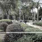 Arson suspected as two bicycles catch fire in Yuen Shin Park in Tai Po