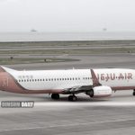 Analysis reveals Jeju Air flight 7C2216 tragedy involved collision with massive bird swarm